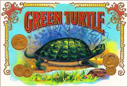 1900 green turtle - 1900,