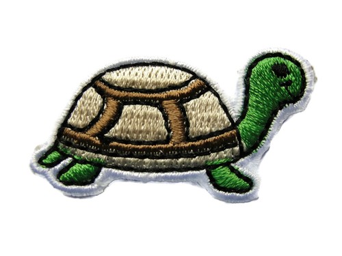 Turtle tortoise green - turtle,